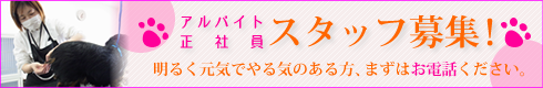 スタッフ募集